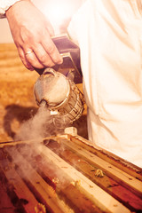 Obraz premium Beekeeping tool