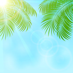 Fototapeta na wymiar Palm on sky background