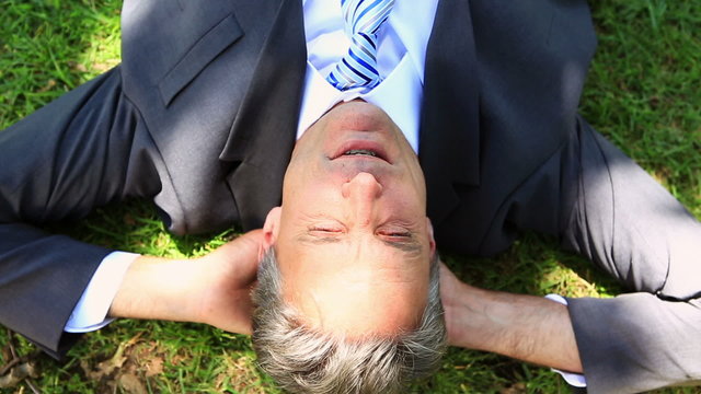 Happy businessman lying on the grass