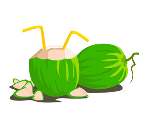 Coconuts Vector