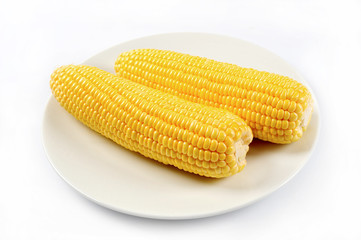 Two corn cobs on the dish isolated