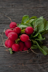 Radishes