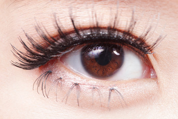 Obraz premium Beautiful woman eye