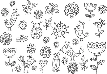 Fototapete Frühlings-Vogel-Blumen-Vektor-Doodle-Set © Blue Foliage