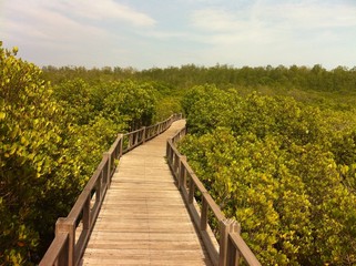 Obraz premium A Wooden Bridge Across the Forest on The Mountain