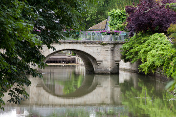 Fototapeta na wymiar Old bridge in Azay Le Rideau.Loire Valley, France