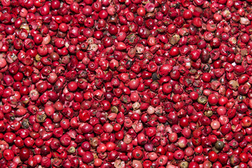 Red  pepper