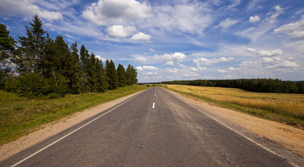 summer road - the asphalted road to summertime of year. along the road trees grow
