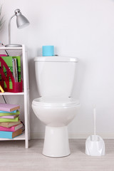 White toilet bowl and stand with books, on color wall