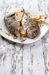 sea bream