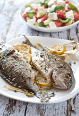 sea bream