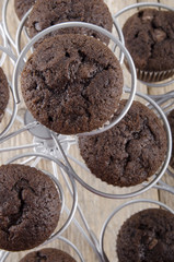 freshly baked double chocolate muffin