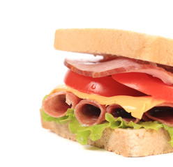 Fresh toast sandwich. Close up.