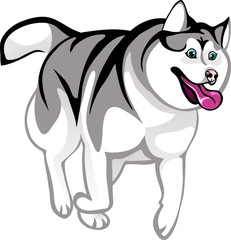animation huskies