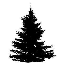 Tree Silhouette Isolated on White Backgorund. Vecrtor Illustrati