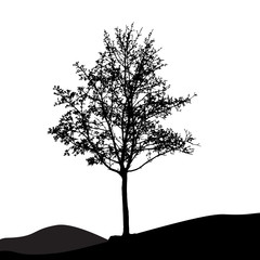 Tree Silhouette Isolated on White Backgorund. Vecrtor Illustrati