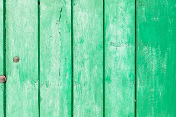 The green wood texture with natural patterns