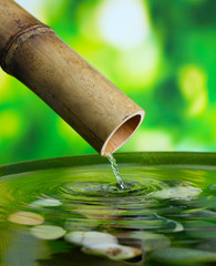 Spa still life with bamboo fountain, on bright background