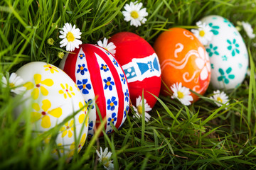 Easter Eggs on Fresh Green Grass