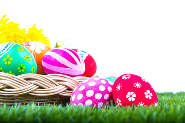Basket of easter eggs on Fresh Green Grass