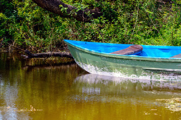 Half of Wooden Boat in a pond