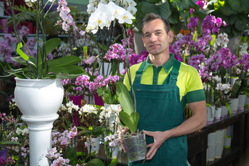 Florist in flower shop posing with orchid