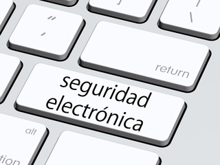 seguridad electronica5