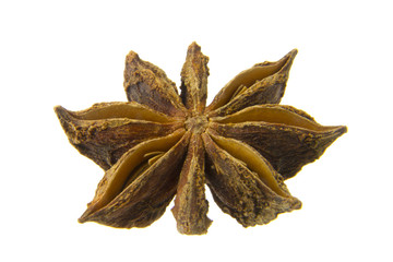 Fototapeta premium Chinese anise