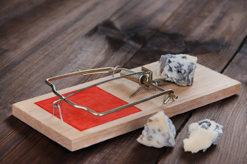 Mousetrap with cheese on wooden background