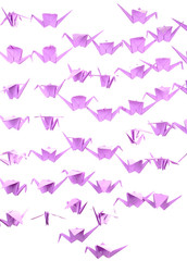 Origami cranes, isolated on white