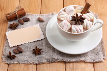 Cup of hot chocolate with marshmallows
