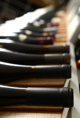 Naklejka premium Assortment of Wines on Wine Rack - Shallow Focus