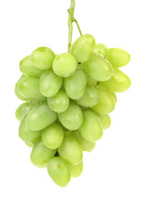 Bunch of green grapes.