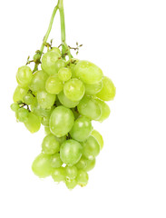 Bunch of green grapes.