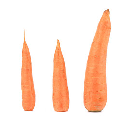 Three fresh carrots.