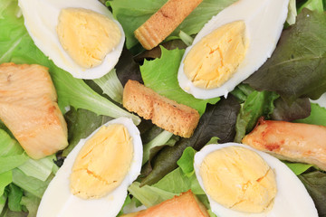 Close up of caesar salad.
