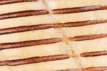 Close up of grilled chicken.