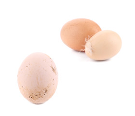 Homemade egg on a white background.