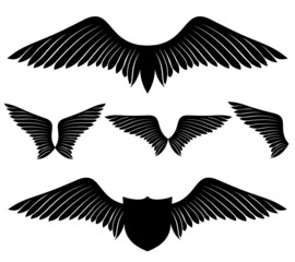 Vector set. Wings.