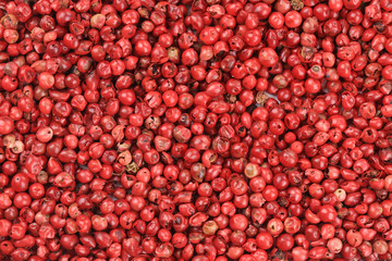 close up of red pepper
