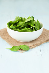 Fresh spinach leaves