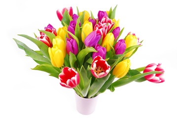bouquet of tulip flowers isolated on white