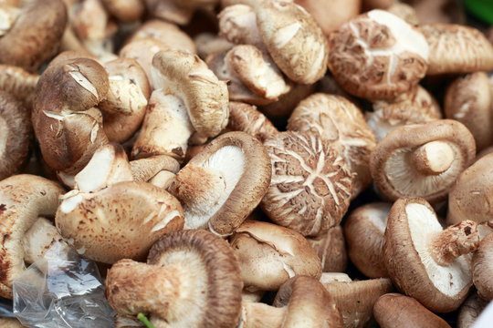 fresh mushrooms in the market