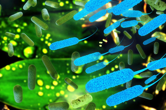 Ecoli bacterium - 3D Render