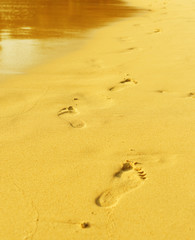 Footprint on sand with waves