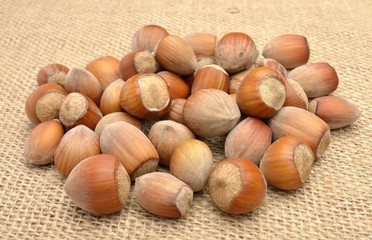 Hazelnuts