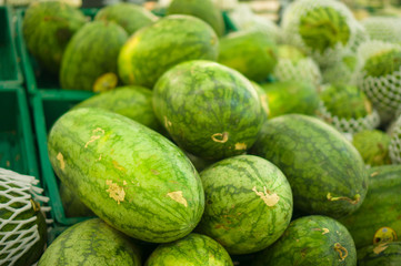 Bunch of watermelons on plastic boxes in store