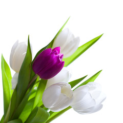 Tulpenstrauß
