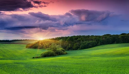 Fotobehang Lavendel Kleurrijk zomerlandschap met tarweveld en dramatische lucht