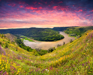 Summer landscape with wildflowers near the river in the mountain